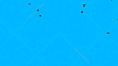 Flock Of Birds Flying Abstract Blue Background