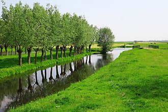 Dutch landscape