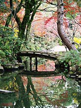 Japan Hiroshima Shukkeien Gardens