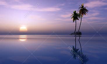 Palm trees and tropical sunset
