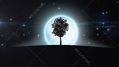 Tree Growing under the New Moon Rising. HD 1080