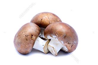 Champignon mushrooms
