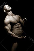 Artistic bodybuilder