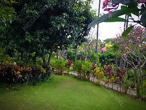 Fresh And Beauty Atmosphere Of The Public Garden With Sweet Plants And Flowers At The Village, Tangguwisia