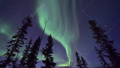 Northern lights in Arctic Canada