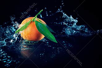 Orange on a black background with water