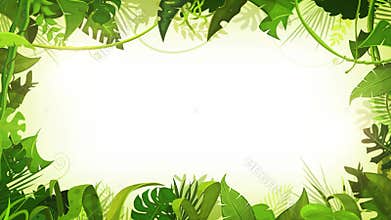 Jungle Tropical Landscape Animation Background Loop