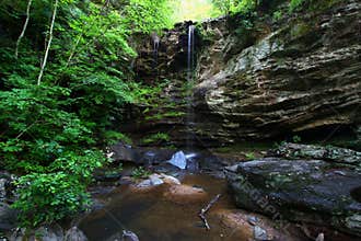 Talladega National Forest - Alabama