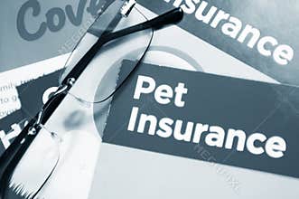 Pet insurance