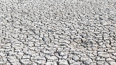 Drought and desertification of dry waterless land, cracked mud, arid ground soil for environmental catastrophe awareness