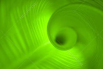 Spiral leaf