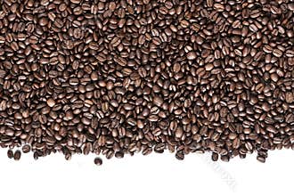 Coffee beans on white Background