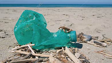 Marine crab on discharged plastic bottle on polluted sandy sea coast ecosystem
