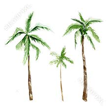 Watercolor tropical trees, beach party set. Summer palm trees jungle illustration for the banner, frame, border, logo