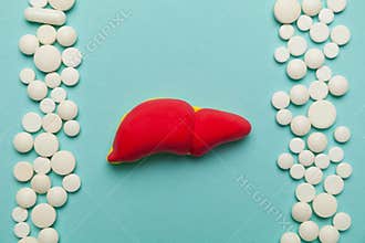 Treatment and prevention of the liver. Cirrhosis from alcohol and junk food. Cartoon concept