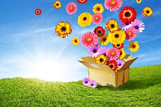 Spring Delivery