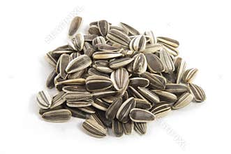 Sunflower seeds on white