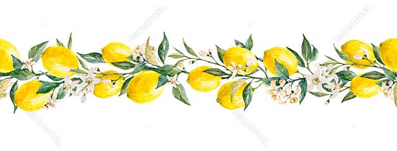 Beautiful horizontal seamless pattern with watercolor yellow lemon fruits, leaves and flowers. Stock illustrations,.