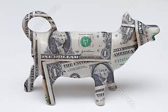 Cash cow