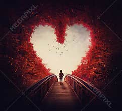 Follow your heart concept. A lone person lost in the autumn forest, found the way out of the woods, as walks a path through the