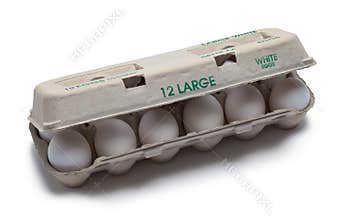 Opened Egg Carton