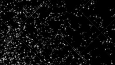 Dandelion seed fly in space