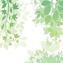 Flower and Leaf Background
