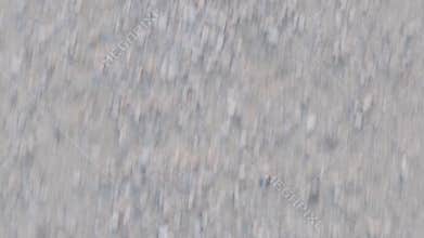 Walking on a forest road from the perspective of your own eyes on shoes and feet slow motion, concept of healthy lifestyle and