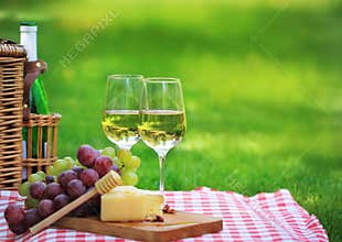Summer picnic