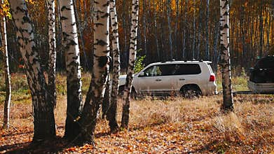The car carries a trailer with cargo in the forest