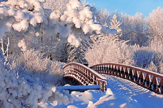 Winter bridge