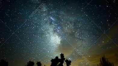 Joshua Trees and Milky Way Galaxy Time Lapse Mojave Desert California