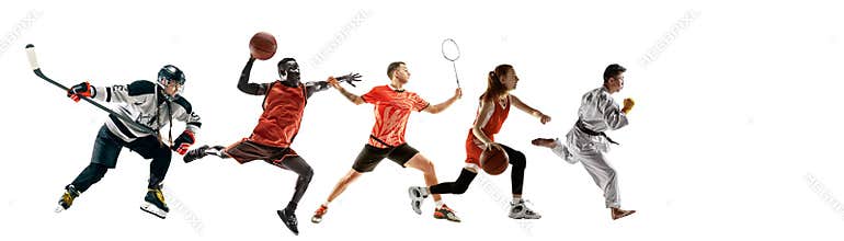 Sport collage of professional athletes or players isolated on white background, flyer