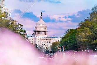 Spring view of Washington Capitol Congress