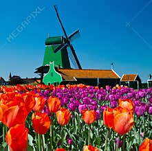 Windmill in holland