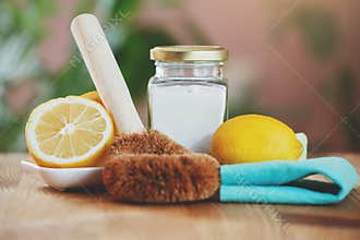 Eco-friendly house cleaners