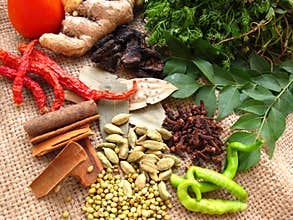 Indian Curry Spices