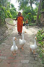 Indian Village Life.