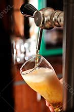 Filling beer glass and tap