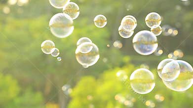 Soap bubbles floating in the air with natural green blurred bokeh background for children and kids in the park