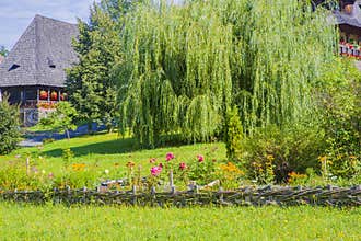Summer garden at Barsana Monastery