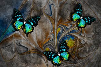 3d wallpaper texture, butterflies, nature painting, old canvas textures. Grey background. Murals effect.