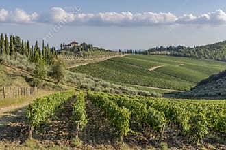 The beautiful Tuscan countryside in the famous Chianti Classico wine area between Siena and Florence, Italy