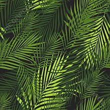 Tropical pattern, vector botanical background. Palm leaves wallpaper