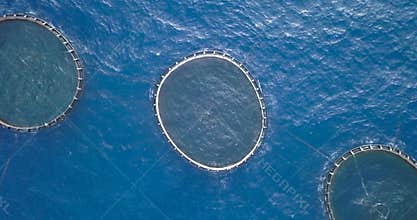 Aquaculture cage top view