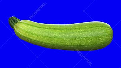 Realistic render of a rotating zucchini on transparent background with alpha channel . The video is seamlessly looping