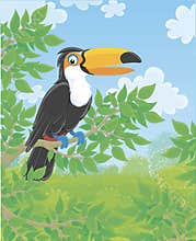 Funny toucan with a big colorful beak