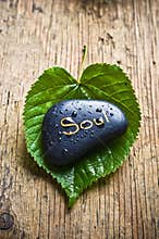Soul and healing nature