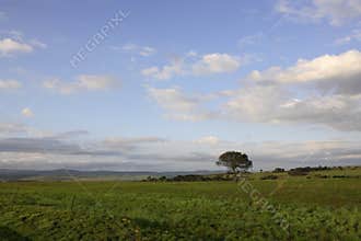 African Landscape