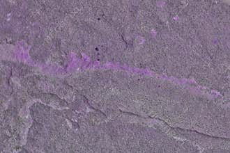 Stone marble conceptual texture background no. 524